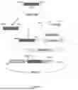 Fig. 02 - PROCESS FOR THE PRODUCTION OF IRISIN, ITS FORMULATIONS AND ITS ADMINISTRATION ROUTES