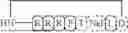 Fig. 27 - SERPIN PEPTIDE DERIVATIVES AND METHODS OF USING THE SAME