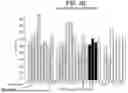 Fig. 07 - ENGINEERING MONOCLONAL ANTIBODIES TO IMPROVE STABILITY AND PRODUCTION TITER