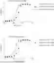 Fig. 01 - ANTIBODIES THAT NEUTRALIZE HEPATITIS B VIRUS AND USES THEREOF