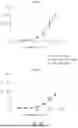 Fig. 18 - ANTIBODIES THAT NEUTRALIZE HEPATITIS B VIRUS AND USES THEREOF