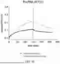 Fig. 42 - ANTIBODIES THAT NEUTRALIZE HEPATITIS B VIRUS AND USES THEREOF