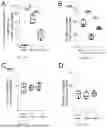 Fig. 28 - Preventative Agent or Therapeutic Agent for Amyotrophic Lateral Sclerosis, Parkinson's Disease, Huntington's Disease, Spinocerebellar Ataxia, Aging-Related Degenerative or Neurological Disease, Brain Aging, or Diseases Associated With Brain Aging
