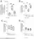 Fig. 36 - Preventative Agent or Therapeutic Agent for Amyotrophic Lateral Sclerosis, Parkinson's Disease, Huntington's Disease, Spinocerebellar Ataxia, Aging-Related Degenerative or Neurological Disease, Brain Aging, or Diseases Associated With Brain Aging