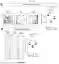 Fig. 40 - Preventative Agent or Therapeutic Agent for Amyotrophic Lateral Sclerosis, Parkinson's Disease, Huntington's Disease, Spinocerebellar Ataxia, Aging-Related Degenerative or Neurological Disease, Brain Aging, or Diseases Associated With Brain Aging