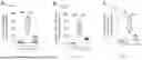 Fig. 41 - Preventative Agent or Therapeutic Agent for Amyotrophic Lateral Sclerosis, Parkinson's Disease, Huntington's Disease, Spinocerebellar Ataxia, Aging-Related Degenerative or Neurological Disease, Brain Aging, or Diseases Associated With Brain Aging