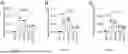 Fig. 60 - Preventative Agent or Therapeutic Agent for Amyotrophic Lateral Sclerosis, Parkinson's Disease, Huntington's Disease, Spinocerebellar Ataxia, Aging-Related Degenerative or Neurological Disease, Brain Aging, or Diseases Associated With Brain Aging