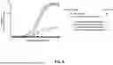 Fig. 10 - D-DOMAIN CONTAINING POLYPEPTIDES AND USES THEREOF