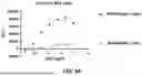 Fig. 05 - MULTISPECIFIC BINDING AGENTS THAT TARGET B7H3 AND GD2 AND USES THEREOF