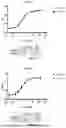 Fig. 11 - FcRn-Binding Polypeptides and Uses Thereof
