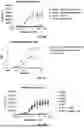 Fig. 16 - FcRn-Binding Polypeptides and Uses Thereof