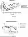 Fig. 22 - FcRn-Binding Polypeptides and Uses Thereof