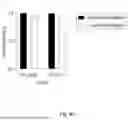 Fig. 49 - COMPOSITIONS AND METHODS COMPRISING ANTIBODIES THAT BIND TO COVALENT PEPTIDE CONJUGATES