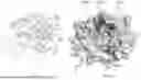 Fig. 70 - COMPOSITIONS AND METHODS COMPRISING ANTIBODIES THAT BIND TO COVALENT PEPTIDE CONJUGATES