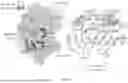 Fig. 82 - COMPOSITIONS AND METHODS COMPRISING ANTIBODIES THAT BIND TO COVALENT PEPTIDE CONJUGATES