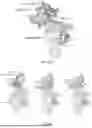 Fig. 84 - COMPOSITIONS AND METHODS COMPRISING ANTIBODIES THAT BIND TO COVALENT PEPTIDE CONJUGATES