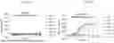 Fig. 10 - ANTIGEN-BINDING PROTEINS AND RELATED METHODS OF USE