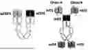 Fig. 01 - EGFR BINDING COMPLEX AND METHOD OF MAKING AND USING THEREOF