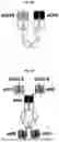 Fig. 22 - EGFR BINDING COMPLEX AND METHOD OF MAKING AND USING THEREOF