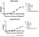 Fig. 17 - Antibodies Against TL1A and Uses Thereof