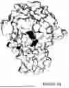 Fig. 19 - Antibodies Against TL1A and Uses Thereof