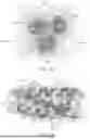Fig. 02 - DE NOVO BINDING DOMAIN CONTAINING POLYPEPTIDES AND USES THEREOF
