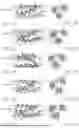 Fig. 03 - DE NOVO BINDING DOMAIN CONTAINING POLYPEPTIDES AND USES THEREOF