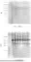 Fig. 24 - DE NOVO BINDING DOMAIN CONTAINING POLYPEPTIDES AND USES THEREOF