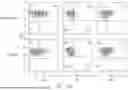 Fig. 34 - DE NOVO BINDING DOMAIN CONTAINING POLYPEPTIDES AND USES THEREOF