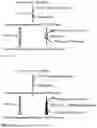 Fig. 03 - ENZYME AND PATHWAY MODULATION WITH SULFHYDRYL COMPOUNDS AND THEIR DERIVATIVES