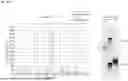 Fig. 17 - ANTI-CD84 ANTIBODIES AND USES THEREOF