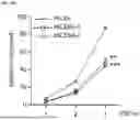 Fig. 36 - ANTI-CD84 ANTIBODIES AND USES THEREOF