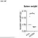 Fig. 41 - ANTI-CD84 ANTIBODIES AND USES THEREOF