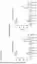 Fig. 44 - ANTI-CD84 ANTIBODIES AND USES THEREOF