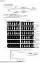 Fig. 46 - ANTI-CD84 ANTIBODIES AND USES THEREOF