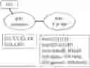 Fig. 01 - CROSSLINKING MULTISPECIFIC ANTIBODIES