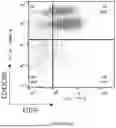 Fig. 11 - MULTI-SPECIFIC REAGENT FOR TARGETED DELIVERY OF LIPID NANOPARTICLES