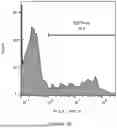 Fig. 13 - MULTI-SPECIFIC REAGENT FOR TARGETED DELIVERY OF LIPID NANOPARTICLES