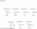 Fig. 05 - HYDROPHILIC COPOLYMER AND HYDROPHILIC COMPOSITION