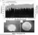 Fig. 13 - METHODS FOR THE DISPERSION PROCESSING OF HIGH ASPECT RATIO NANOMATERIALS, SUCH AS BORON NITRIDE NANOTUBES, INTO MACROSTRUCTURES