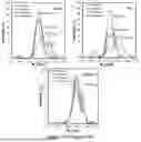 Fig. 17 - METHODS FOR THE DISPERSION PROCESSING OF HIGH ASPECT RATIO NANOMATERIALS, SUCH AS BORON NITRIDE NANOTUBES, INTO MACROSTRUCTURES