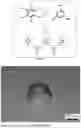 Fig. 02 - Method for Preparing Polyurethane Microcapsule Shells by Direct Crosslinking of Cellulose and Polyisocyanate