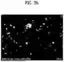 Fig. 05 - ANTIMICROBIAL FILM-COATED SUBSTRATE AND MANUFACTURING METHOD THEREFOR