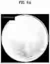 Fig. 09 - ANTIMICROBIAL FILM-COATED SUBSTRATE AND MANUFACTURING METHOD THEREFOR