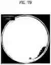 Fig. 12 - ANTIMICROBIAL FILM-COATED SUBSTRATE AND MANUFACTURING METHOD THEREFOR
