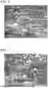 Fig. 05 - PARTICLE-CONTAINING FIBER BUNDLE PRODUCTION METHOD AND PARTICLE-CONTAINING FIBER BUNDLE