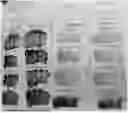 Fig. 01 - Paint comprising microbial cells and water-based paint vehicle