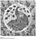 Fig. 02 - Paint comprising microbial cells and water-based paint vehicle