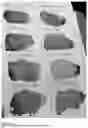 Fig. 08 - Paint comprising microbial cells and water-based paint vehicle