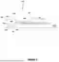 Fig. 03 - INK JET PRIMER APPLIED ON A CORRUGATOR